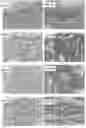 Fig. 07 - Methods of raising crustaceans in low salinity water