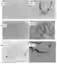 Fig. 08 - Methods of raising crustaceans in low salinity water