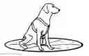 Fig. 01 - Collapsible umbrella based animal restraint
