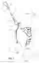 Fig. 02 - PET HARNESS SAFETY SYSTEM