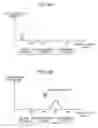 Fig. 07 - Supercharged direct-injection engine