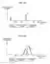 Fig. 08 - Supercharged direct-injection engine