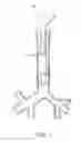 Fig. 02 - MEDICAL DEVICE WITH ANTIMICROBIAL LAYER