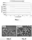 Fig. 07 - Methods for loading a drug eluting medical device