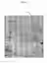 Fig. 02 - Kit For, And Method Of Creating, Three-Dimensional Wall Murals