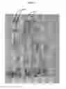 Fig. 08 - Kit For, And Method Of Creating, Three-Dimensional Wall Murals