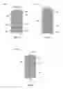 Fig. 07 - Systems, apparatuses and methods for treating wastewater