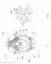 Fig. 12 - Tool for driving fasteners