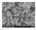 Fig. 01 - Producing method of powder particles by using grinding medium