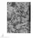Fig. 02 - Producing method of powder particles by using grinding medium