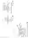 Fig. 06 - BARBED ANCHOR