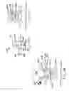 Fig. 09 - BARBED ANCHOR