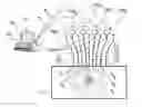 Fig. 01 - Device and method for spatial reconstructing of fluorescence mapping