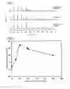 Fig. 02 - Positive active material for lithium secondary battery and lithium secondary battery