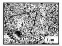 Fig. 01 - Composite electrode material