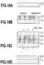 Fig. 17 - Diamond semiconductor element and process for producing the same