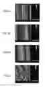 Fig. 06 - Mold Tool and Treatment Method for Mold Tool Surface