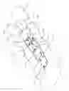 Fig. 02 - Draw latch with safety catch