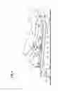 Fig. 07 - Driving position adjusting apparatus for vehicle