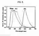 Fig. 09 - Light emitting device having photonic crystal structure