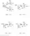 Fig. 16 - Broad spectrum light source calibration systems and related methods