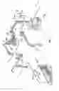 Fig. 02 - Optical traffic control system with burst mode light emitter