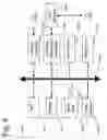 Fig. 09 - Catheter RF ablation using segmentation-based 2D-3D registration
