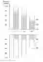 Fig. 01 - Apparatus and Method for Visualizing Data with Symmetric Total Values, First Values and Second Values