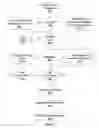 Fig. 09 - Register indexed sampler for texture opcodes