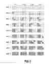 Fig. 04 - Ink jet printing apparatus and printing method