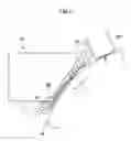 Fig. 06 - IMAGE FORMING APPARATUS