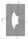 Fig. 09 - PROJECTION DISPLAY APPARATUS