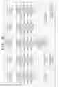 Fig. 09 - Image forming apparatus and processing method thereof