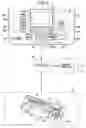 Fig. 03 - IMAGE FORMING APPARATUS AND IMAGE FORMING METHOD