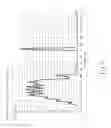 Fig. 06 - Near infra-red imaging lens assembly