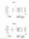 Fig. 02 - Imaging optical system, camera apparatus, and personal digital assistant
