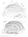 Fig. 07 - Helmet lighting system