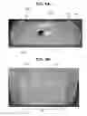 Fig. 06 - LED lighting fixture