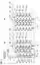 Fig. 04 - Three-dimensional nonvolatile semiconductor memory device for curbing a leak current and method of data read therein