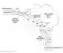 Fig. 01 - Management of data congestion in a data network