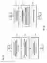 Fig. 04 - Method and apparatus for providing control channels for broadcast and paging services
