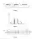 Fig. 03 - Bragg grating structure