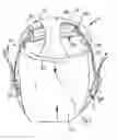 Fig. 05 - Dry Bag Harness System