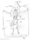 Fig. 07 - Dry Bag Harness System
