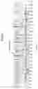 Fig. 04 - IMAGE FORMING APPARATUS