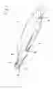 Fig. 02 - Wingtip device for the tip of a wing, blade of a wind generator or marine generator for reducing or even eliminating marginal swirl