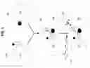 Fig. 03 - Artificial cells