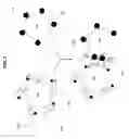 Fig. 04 - Artificial cells