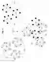 Fig. 05 - Artificial cells