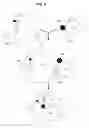 Fig. 09 - Artificial cells